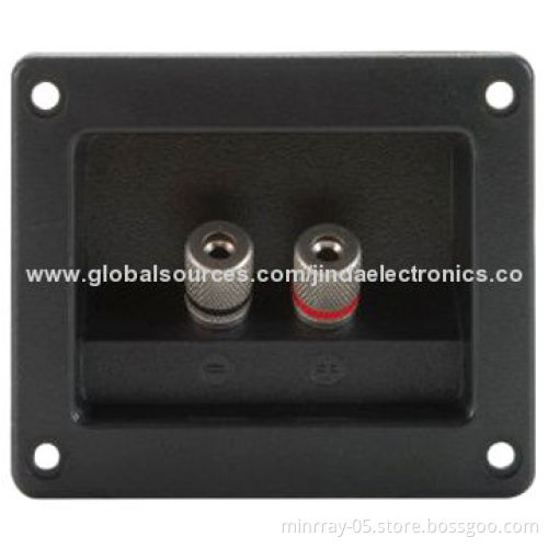 Speaker terminal with binding postNew